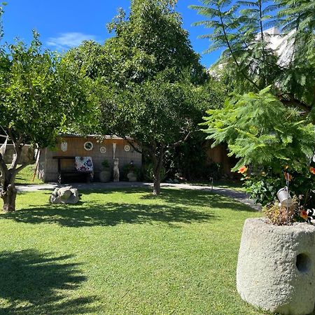Monolocale super centrale con WI-FI Forio di Ischia Esterno foto