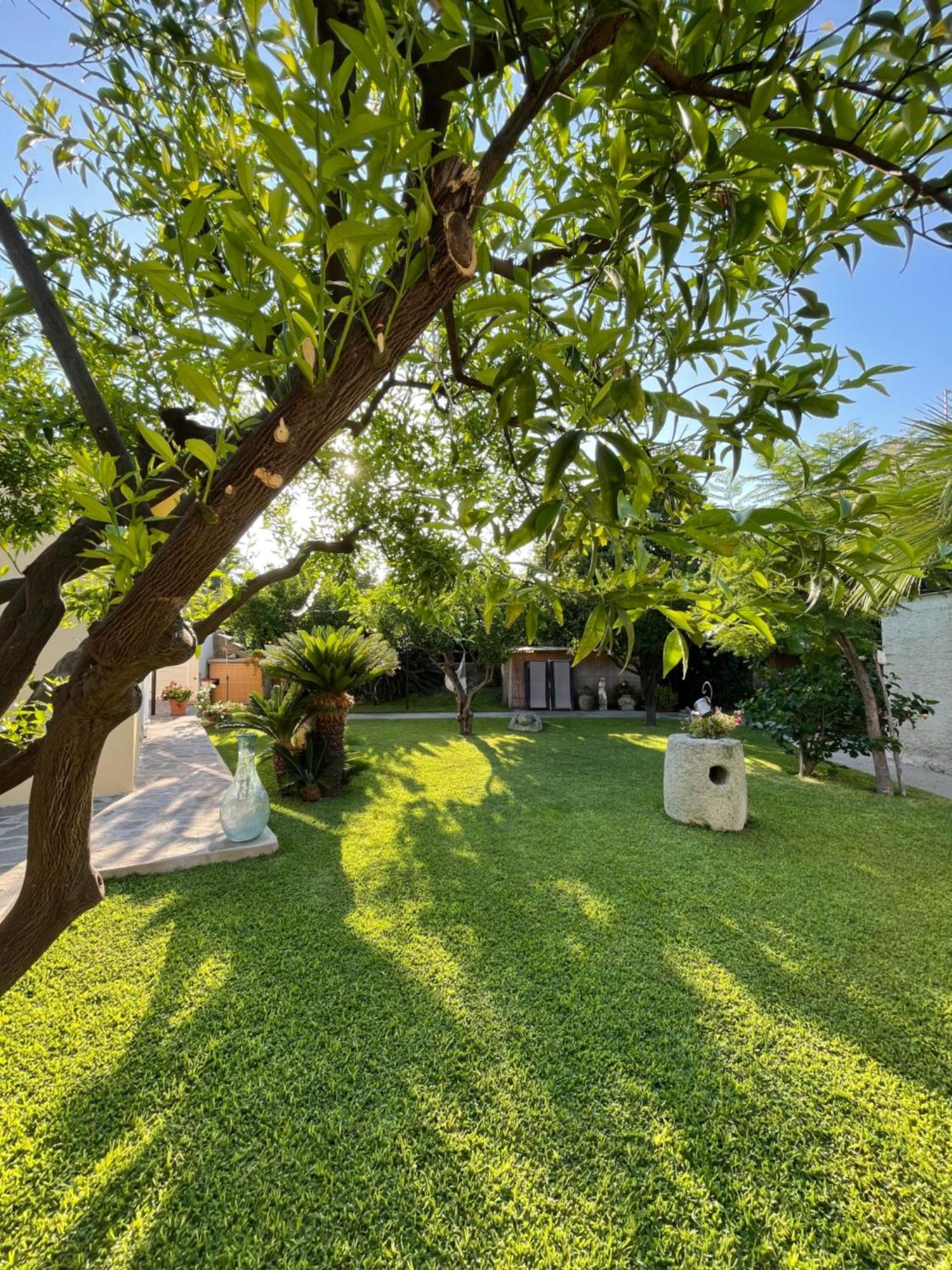 Monolocale super centrale con WI-FI Forio di Ischia Esterno foto